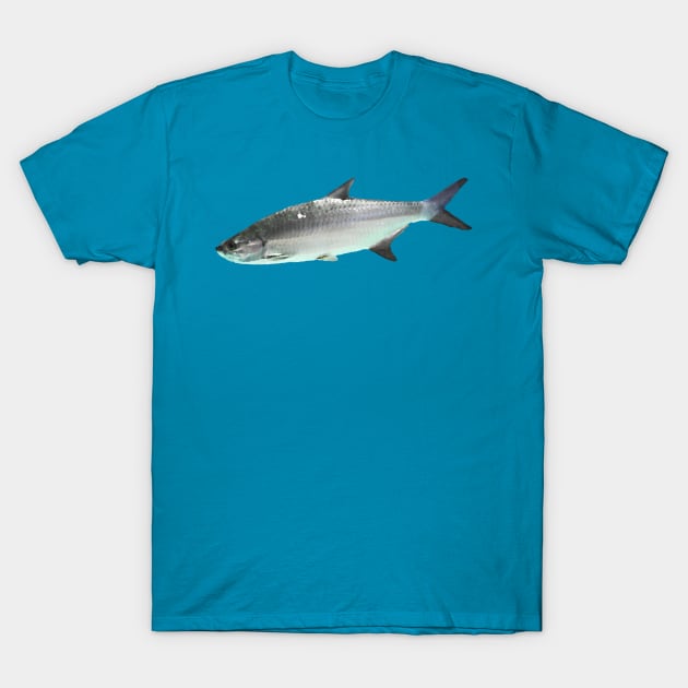 Atlantic Tarpon T-Shirt by stargatedalek